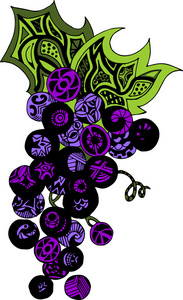 抽象图标标志素描老式的装饰葡萄.