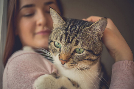 宠物 Care.Young 女人控股猫回家