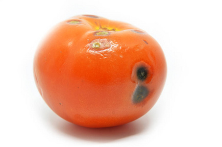 烂番茄百科图片