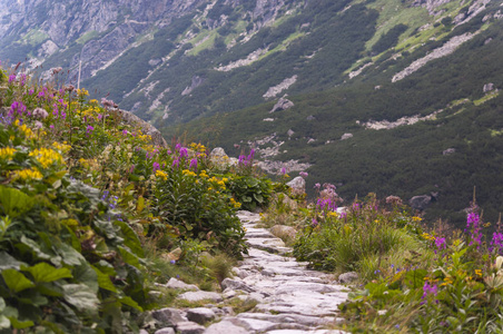 夏季山路与花