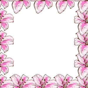 美丽的粉红色百合花框。花设计为卡片横幅海报等。植物学矢量插画
