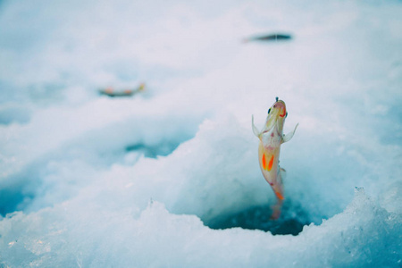 钓鱼，很多雪的冬天