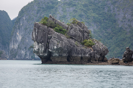 美丽的风景越南山