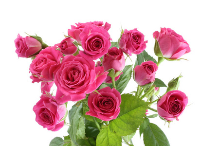 白色背景上孤立的小粉红玫瑰花束