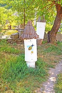 在历史的古董蜂箱和文化储备沙路文尼察地区，乌克兰