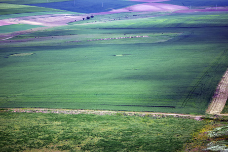 Dobrogea 阳光景观