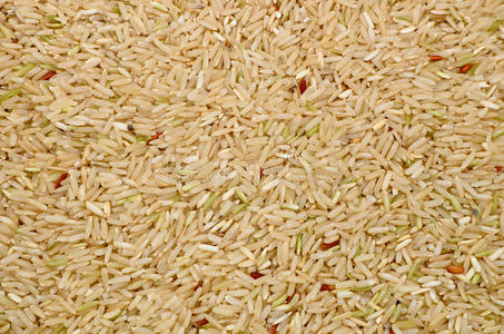 生糙米