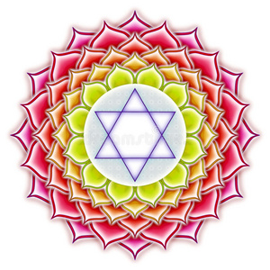 神圣的莲花曼陀罗脉轮莲花照片