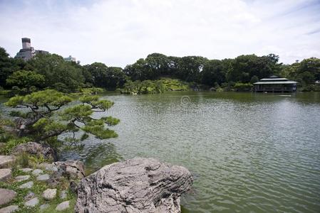 亚洲 冥想 公园 自然 花园 开花 森林 池塘 美好的 灌木