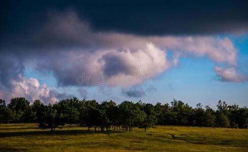 弗吉尼亚州谢南多国家公园大草地上的树木上的云