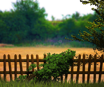 自然的幻想图片 自然的幻想素材 自然的幻想插画 摄图新视界