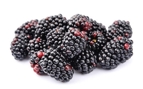 黑莓水果图片