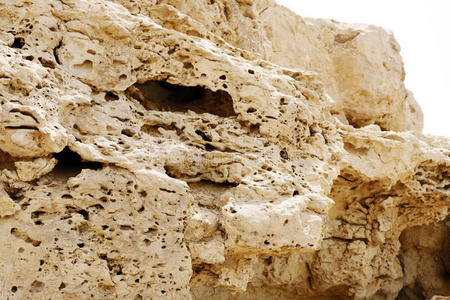 风化石灰岩露头可见的孔隙照片