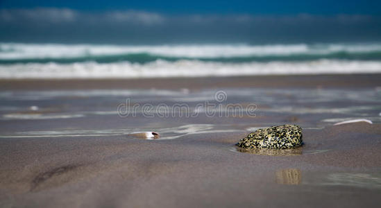 海滩石