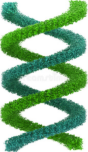 蓝色和绿色dna链的图像，在w上分离