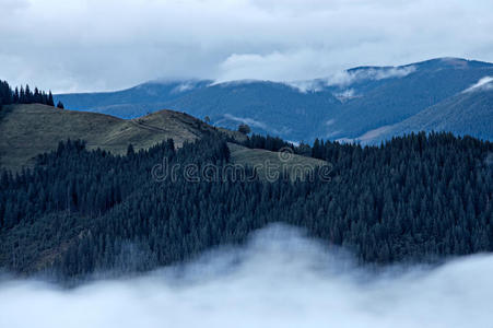 喀尔巴阡山的雾景图片