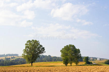 五彩缤纷森林秋景