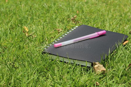 草地上的笔记本和笔