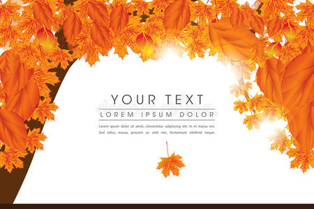 秋季元素页面布局设计图片