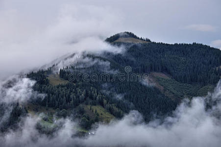 喀尔巴阡山的雾景图片