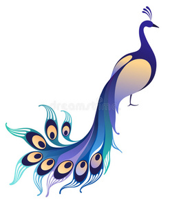 vect孔雀羽毛特写孔雀羽毛明亮的孔雀羽毛关门西双版纳蓝色孔雀蓝色