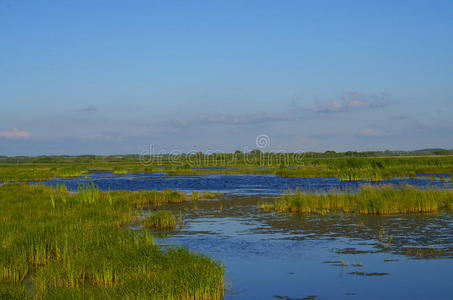 草原沼泽