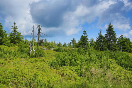 克科诺斯山脉，捷克共和国，波兰