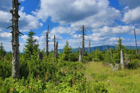 克科诺斯山脉，捷克共和国，波兰