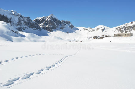 雪地上的脚步声图片