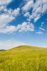 蓝天田野