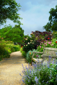 英国公园的艺术长凳和清晨的鲜花