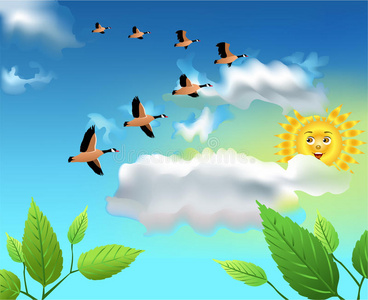 候鸟在天空飞翔照片