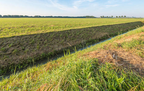 沟渠把荷兰的圩田一分为二图片
