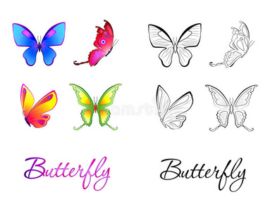 插图蝴蝶的集合。 着色