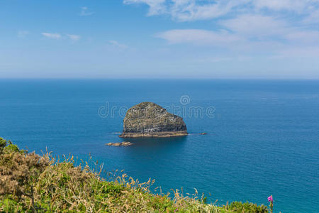 tintagel附近的gull rock trebarwith strand cornwall