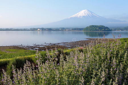 富士山