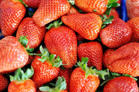 多汁可口的新鲜红草莓