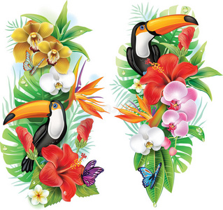 热带花卉和巨嘴鸟