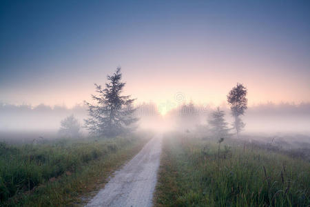 日出时地面道路上起雾图片