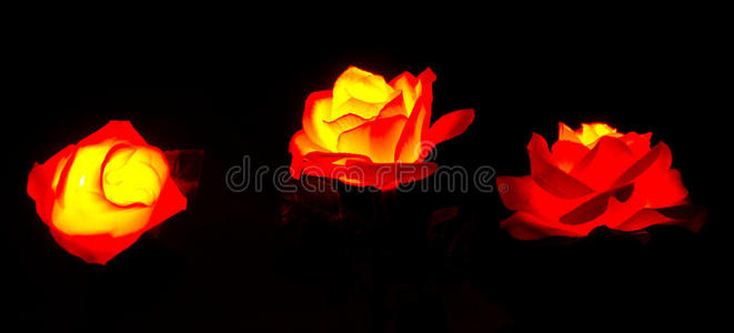 发光的红花
