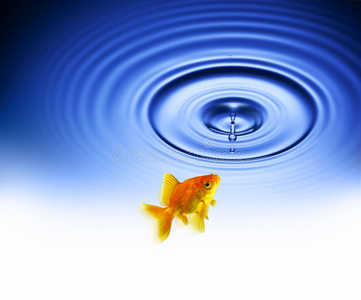 橙色水滴涟漪图片