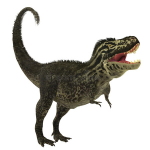 恐龙 霸王龙 化石 怪物 爬行动物 食肉动物 有机体 雷克斯