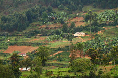 乌干达农村社区图片