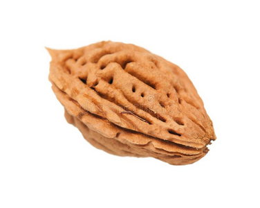 油桃核照片