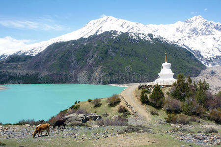 湖景