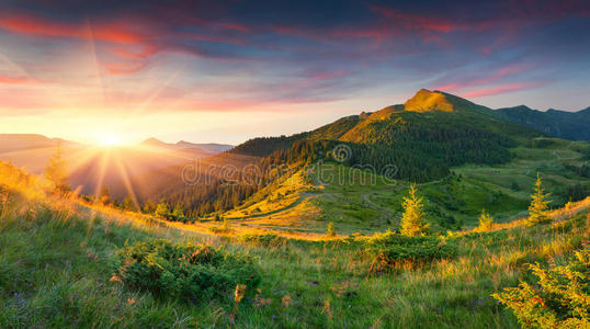 美丽的夏季山景