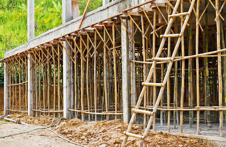 竹许多丰富多彩图片