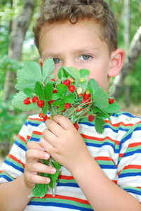 在森林里，一个男孩拿着一束草莓。