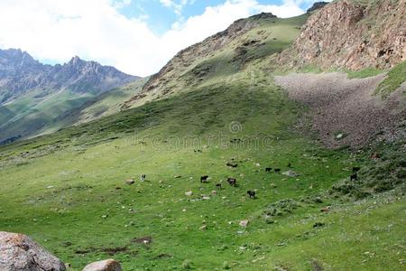 吉尔吉斯斯坦天山