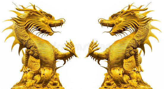 双龙金像照片